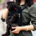 thumbnail image 3 of Dog R Backpack - Legs Out - Facing Pet R Backpack, 3 of 5