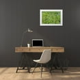 thumbnail image 3 of Highmith, Carol 32x23 White Modern Wood Framed Museum Art Print Titled - Spring flowers in Big Thicket National Preserve, 3 of 4