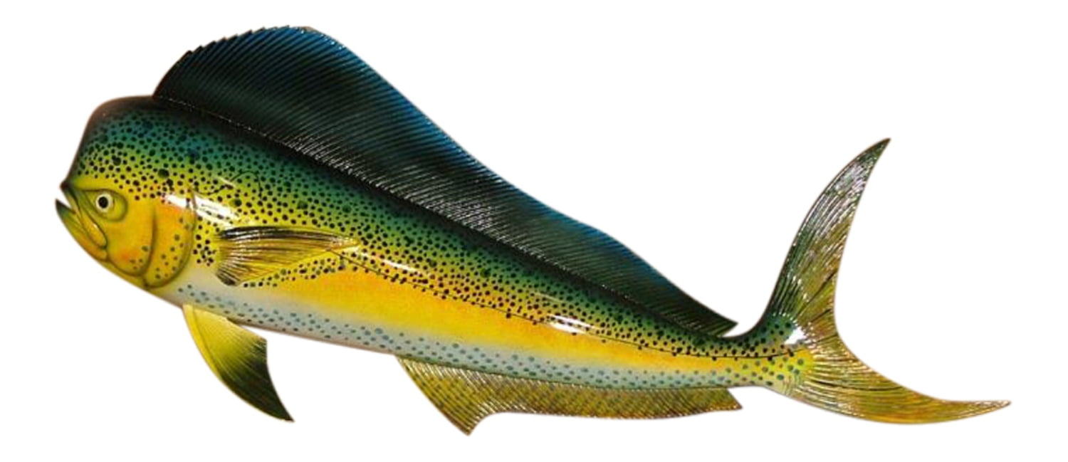 Mahi Mahi Fish Nautical Mailbox Statue Unique Custom Mailbox Outdoor