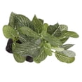 thumbnail image 4 of Planta artificial para pecera, planta artificial para acuario, planta artificial de plástico para acuario, decoración de plantas para peceras, fiel a su promesa, 4 of 9