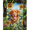 thumbnail image 2 of Nova Scotia Duck Toller in Sunflowers Garden Flag 11.25 in x 15.5 in, 2 of 5