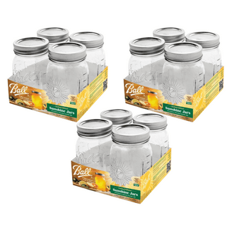Ball Jelly Jars, Quilted Crystal Glass Jars with Lids and Bands, 4