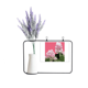 thumbnail image 1 of China Peony Tarjeta de jarrón de lavanda artificial, 1 of 3