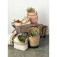 thumbnail image 3 of Sullivans Set of 3 Basket 13"H, 12.5"H & 10.5"H White, 3 of 5