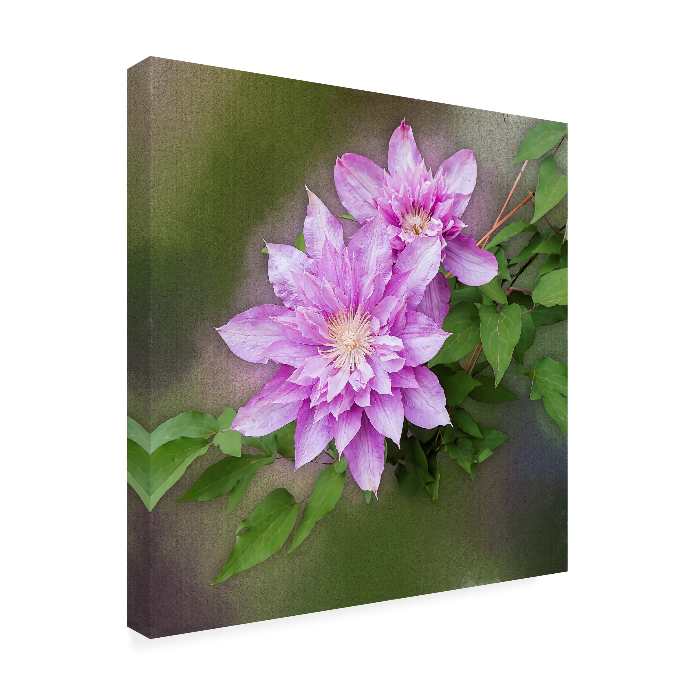 Leslie Montgomery 'Double Clem' Canvas Art