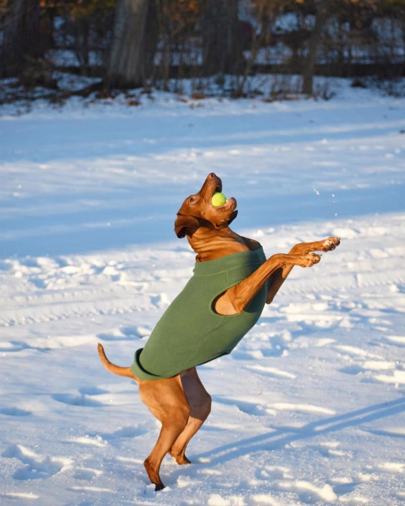 gooby stretch fleece dog & cat vest