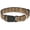 Beige, variant on Grateful Dead Pet Collar, Dog Collar Plastic Buckle, Dancing Bears Black Multi Color, 20 to 31 Inches 1.5 Inch Wide