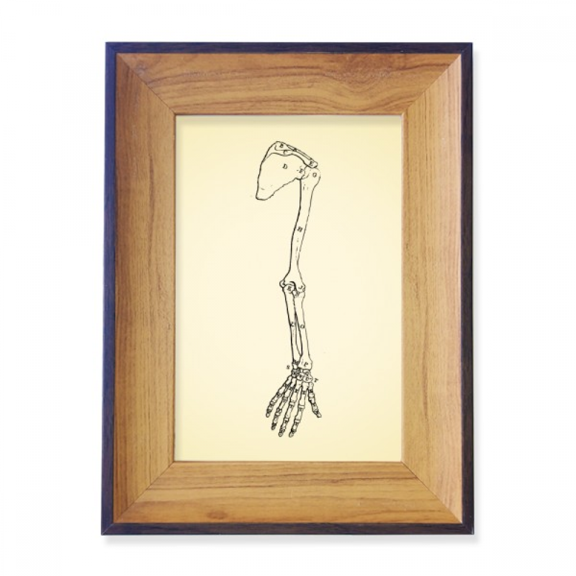 human body sketch hand b arm photo frame exhibition display art desktop painting