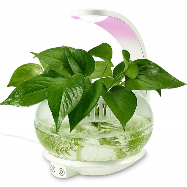 Torchstar Led Plant Grow Lights Light Fixtures Torchstar Led Plant Grow Lights