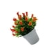 thumbnail image 1 of Planta Artificial Billuyoard Bonsái Decoración Atardecer Rojo, 1 of 6