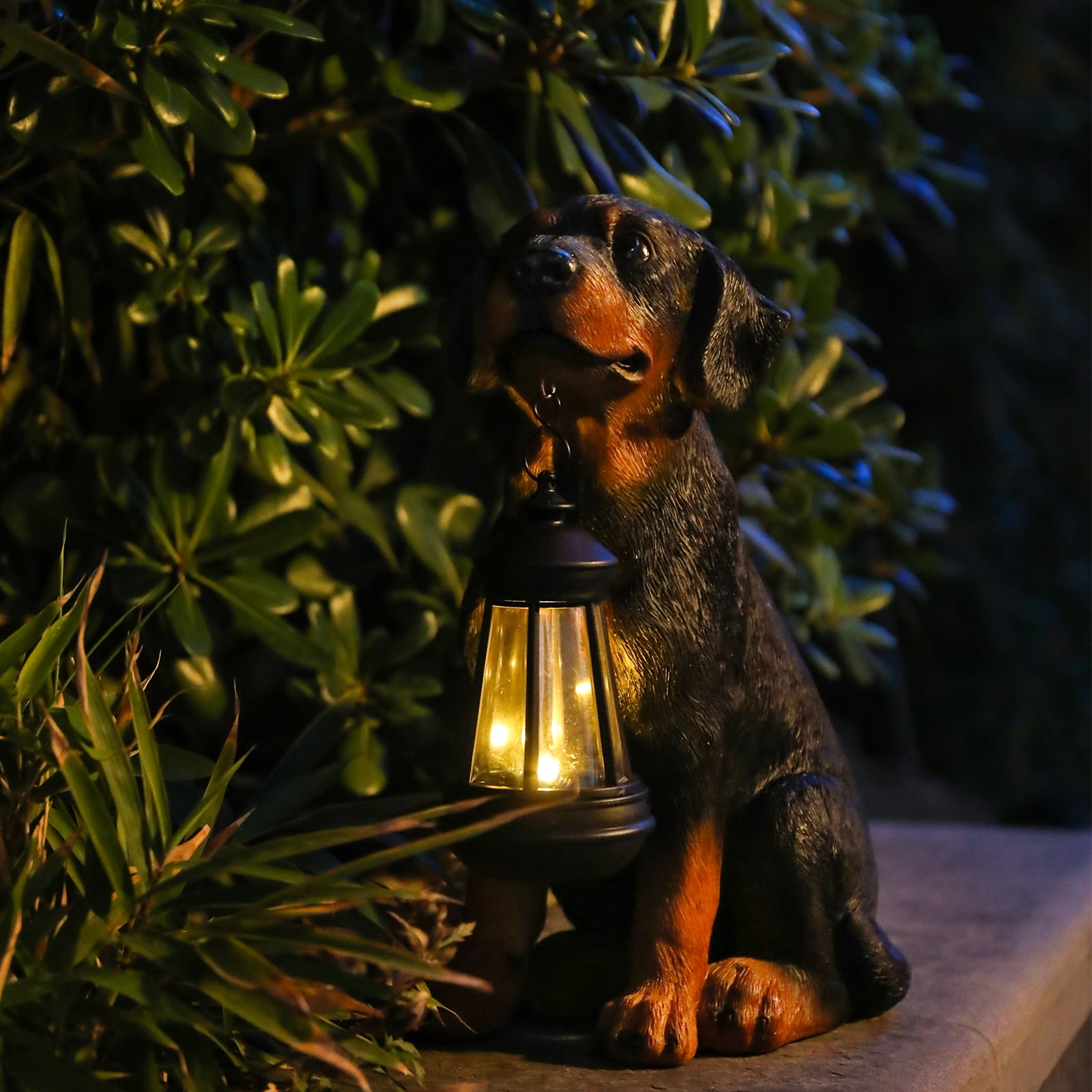 11.8 Inch Rottweiler Garden Statue with Solar Lantern – Lifelike Resin Statue, Decor for Patio, Lawn & Outdoor Spaces