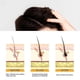 thumbnail image 3 of Jabón para el cuidado del cabello en barra de champú para el cabello en barra de champú Rain, 3 of 5