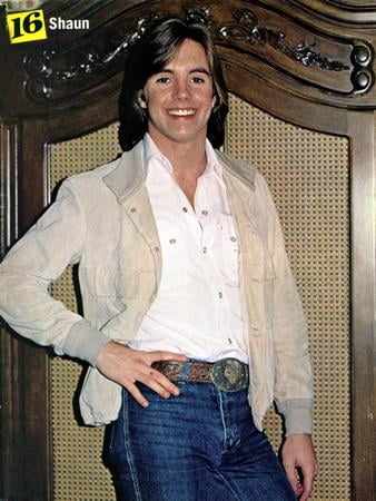 Shaun Cassidy Poster vintage bw pic Art Poster 24x36 - Walmart.com