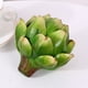 thumbnail image 4 of Cabeza de piña grande verde planta simulada flor verde bonsái pequeño/plástico/diámetro 10 altura 105/10x10x11120 ANGGREK Otros, 4 of 8