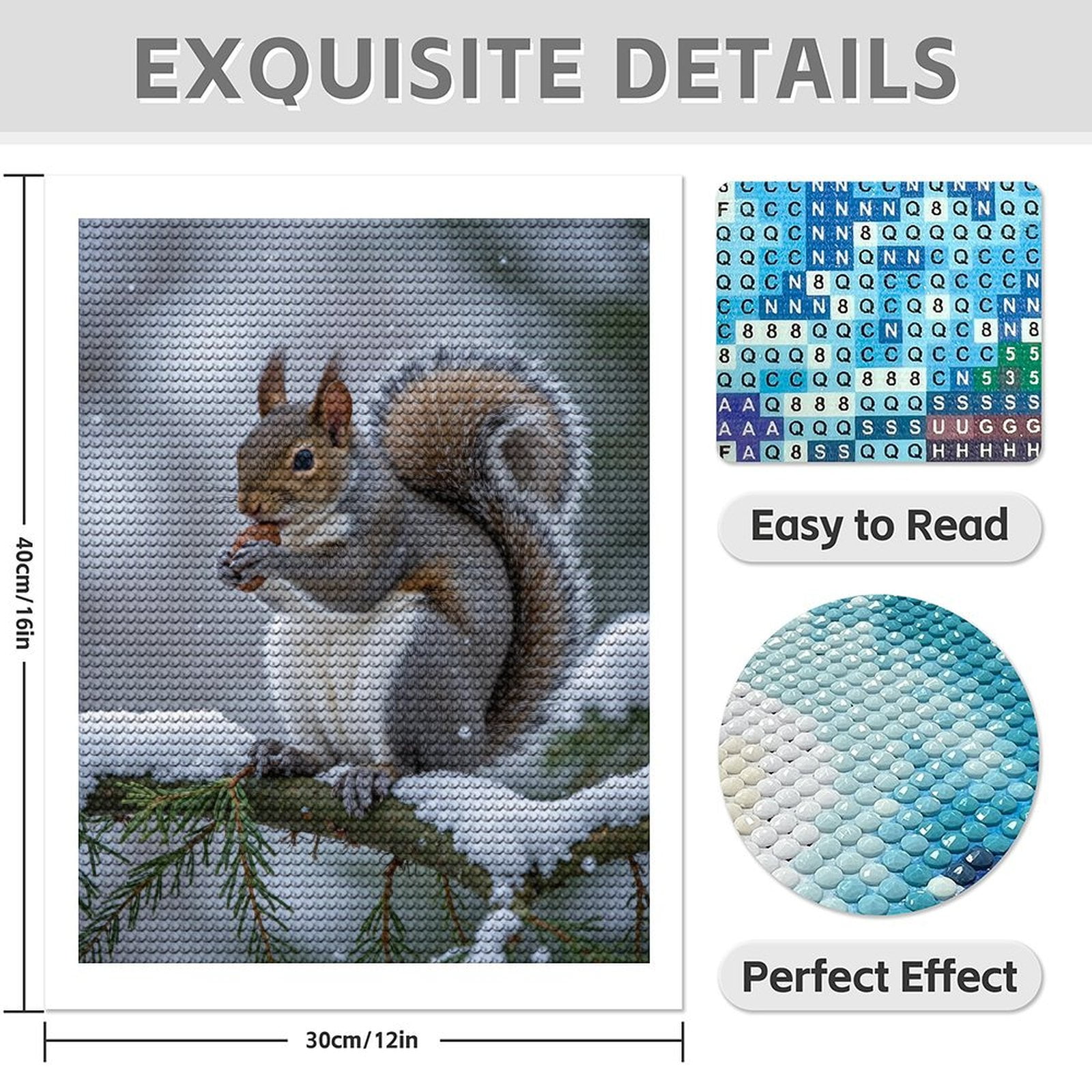 Diamond Art Kit for Adults, Squirrel Winter Snowy Branch Acorn Diamond Painting for Adults Beginners, DIY Diamond Art Painting Kits, 5D Diamond Painting Crafts for Home Decor 12x16 Frameless