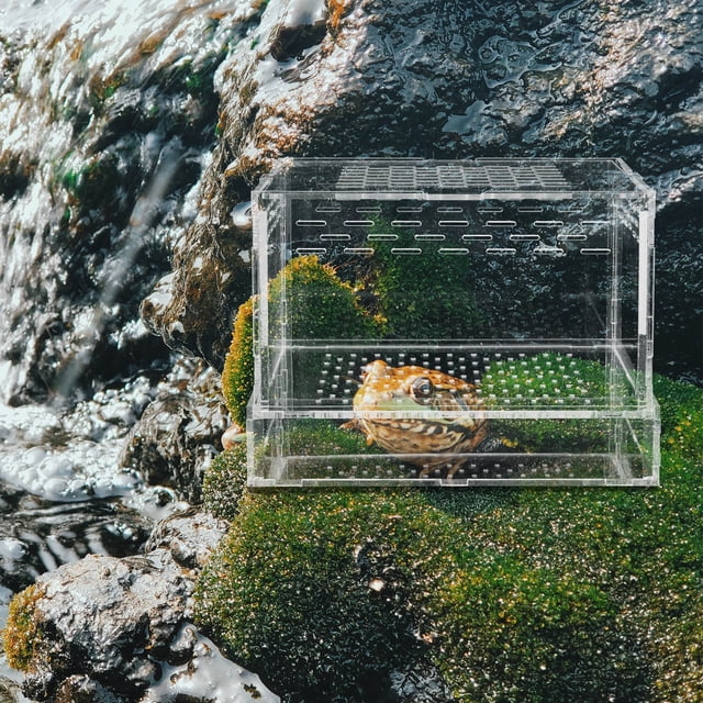 LIFKOME Spider Pet Box Acrylic Transparent for Tarantulas and Reptile Owners 1Pack