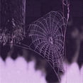 thumbnail image 1 of Ahgly Company Machine Washable Indoor Square Transitional Rich Lilac Purple Area Rugs, 8' Square, 1 of 7