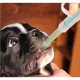thumbnail image 2 of Greeniant Reutilizable perro gato cachorro Piller medicina dispensador píldoras de inyección alimentador de mascotas Juguetes para gatos Verde Greeniant PT002456-02, 2 of 5
