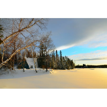 LAMINATED POSTER Frozen Lake Birch Winter Landscape Trees Ice Snow Poster Print 24 x