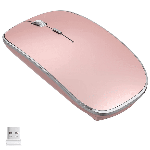 Souris sans fil USB C + USB A, souris sans fil 2.4 GHz avec