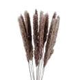 thumbnail image 1 of Bearachild 15 Pieces Small Dried Flower Branch Props Birthday Photography Bedroom Decoration Wedding Home Festival Celebration Kits de decoración para fiestas No.1, 1 of 6
