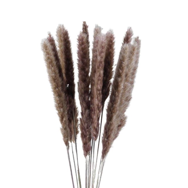 Bearachild 15 Pieces Small Dried Flower Branch Props Birthday Photography Bedroom Decoration Wedding Home Festival Celebration Kits de decoración para fiestas No.1