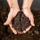 thumbnail image 2 of Turba de musgo de sphagnum orgánica de , agregada al suelo y enriquece las raíces de las plantas, enmienda del suelo para jardinería y medio de suelo para plantas carnívoras (1 qt) ,, 2 of 5
