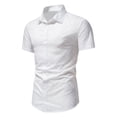 thumbnail image 1 of Camisa casual de manga corta con botones y solapa con estampado delgado para hombre Pompotops oipoqjl43364, 1 of 9
