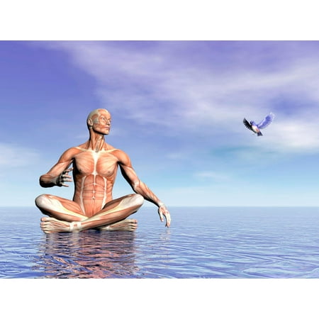 Male musculature in lotus position while looking at a little bird flying Poster Print by Elena DuvernayStocktrek
