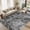 Dark Gray, variant on MICGEEK 8x10 Washable Area Rugs for Living Room, Modern Abstract Printed Rug, Vacuum-Friendly, Non Slip Indoor Rug for Bedroom Dining Room Home Decor Carpet, Brown