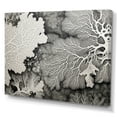 thumbnail image 2 of Designart "Monochrome Wonders Of The Coral Reef II" Coastal Coral Under Water Wall Art Living Room, 2 of 7