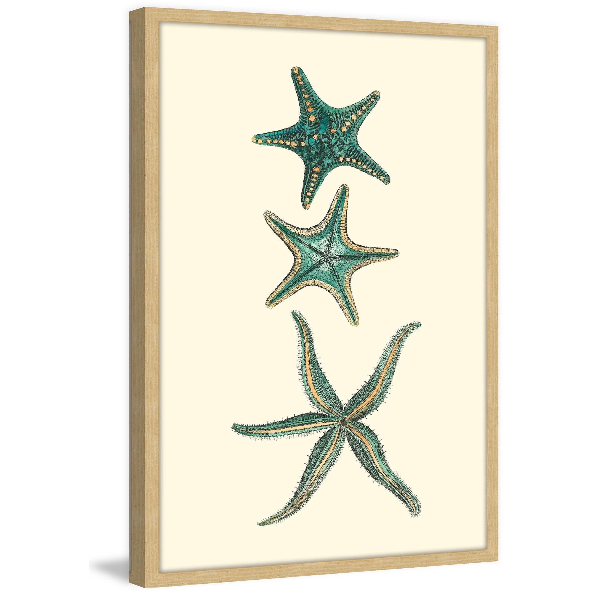 Marmont Hill "Aqua Starfish" Framed Painting Print