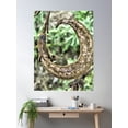 thumbnail image 2 of Curly Poster Wall Art, Modern Wall Decor, 16x24 UNFRAMED, 2 of 3