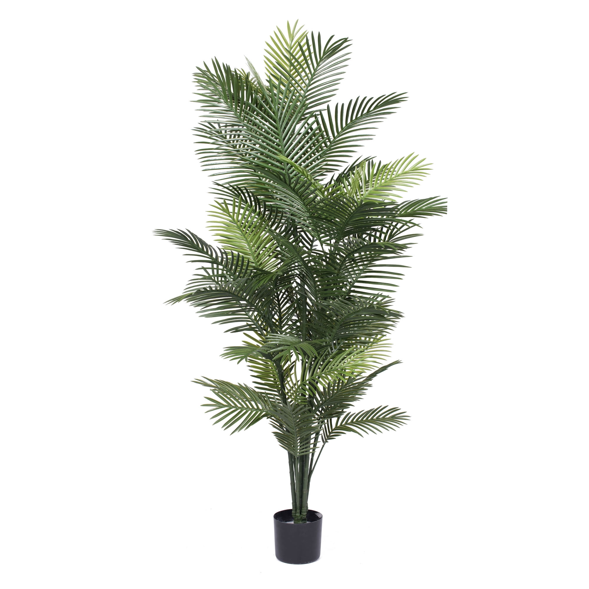Vickerman 72" Artificial Robellini Palm Tree.