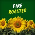 thumbnail image 4 of BiGS VLASIC  Dill Pickle Flavour Sunflower Seeds - High in Fibre - No Artificial Colours or Flavours, 4 of 9