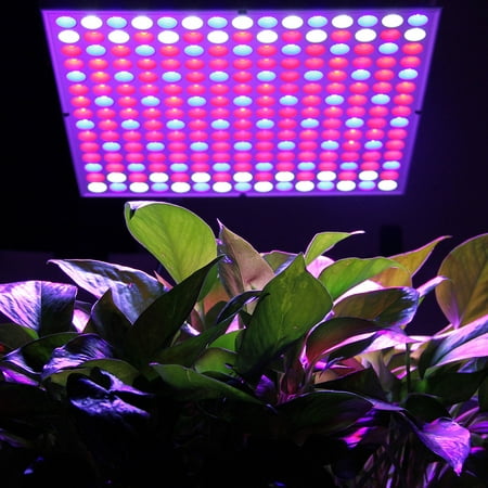 Excelvan 45W 225 LED Hydroponic Plant Grow Light and Lighting Panel, Full Spectrum for Plant Flower Vegetable Greenhouse Garden (135Red 60Blue