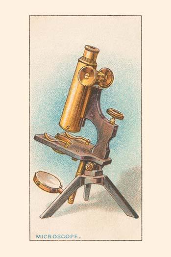 The compound microscope was first devised by a spectacle maker of