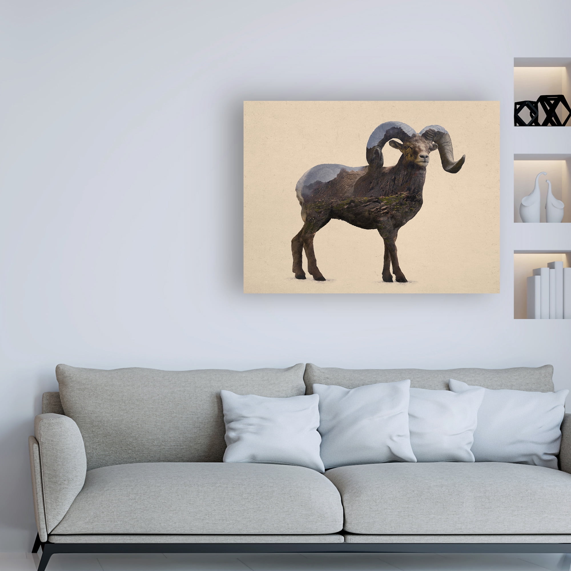 Trademark Fine Art 'Rocky Mountain Bighorn' Canvas Art by Davies Babies