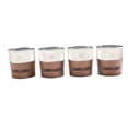 thumbnail image 4 of 4x Taza de Acero Inoxidable con Manga Shamjiam 300 ml Copas al Aire Libre, 4 of 8