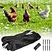 thumbnail image 3 of Bird Net 25'X50' With 1"" Mesh Nylon Bird Netting For Garden Poultry Netting Heavy Duty Aviary Netting Chicken Coop Netting Garden Netting Deer Fence Netting For Fruit Tree Pests Trellis Net, 3 of 4