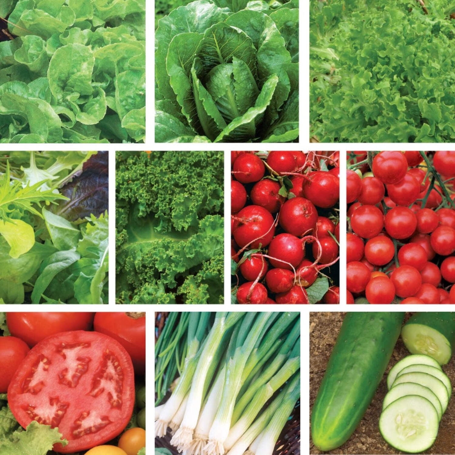 Ferry-Morse Organic Salad Garden Seed Variety Pack - 10 Pack
