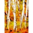 thumbnail image 3 of Greene, Taylor 18x24 Black Modern Framed Museum Art Print Titled - Glowing Forrest, 3 of 5