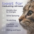 thumbnail image 2 of BuddyJoy Cat Calming Diffuser Refills – Long-Lasting 30-Day Formula, Cat Pheromones Calming Diffuser for Stress Relief, Relaxation, and Anxiety Reduction, Easy to Use – (1 Diffusers + 2 Refills), 2 of 7