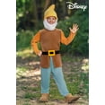 thumbnail image 7 of Kid's Disney Happy Dwarf Costume, 7 of 7