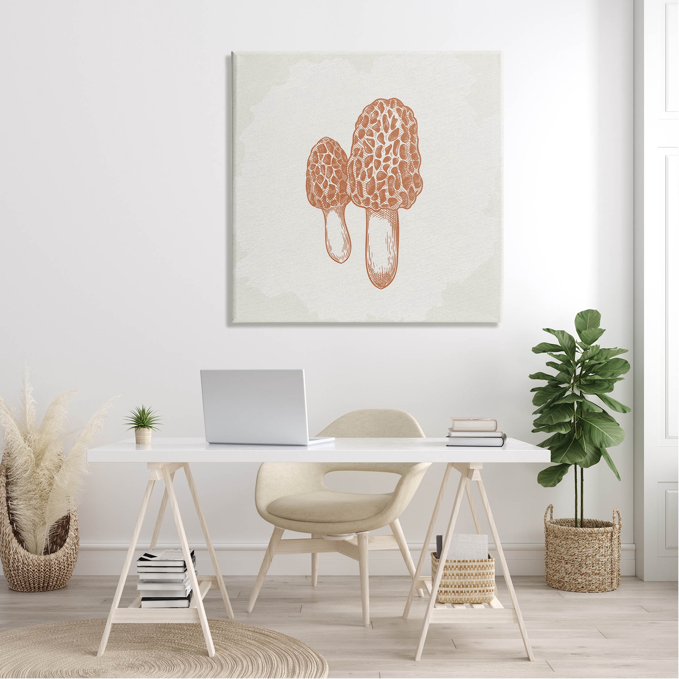 Stupell Industries Detailed Mushroom Latin Study Drawing Graphic Art Gallery Wrapped Canvas Print Wall Art, Design by Kim Allen