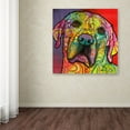 thumbnail image 3 of Trademark Fine Art 'Starry Lab' Canvas Art by Dean Russo, 3 of 3