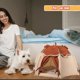 thumbnail image 3 of Carpa para Gatos Gigreinc Casa para Perros Interior Gato Beige Grande, 3 of 6