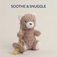 thumbnail image 3 of Ilzy Ritzy Bitzy Pal Bear, 3 of 6
