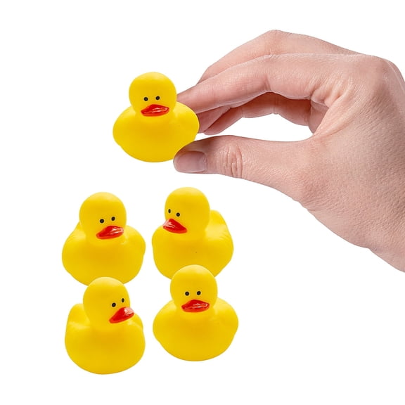 Fun Express Mini Yellow Rubber Ducks - 24 Pieces