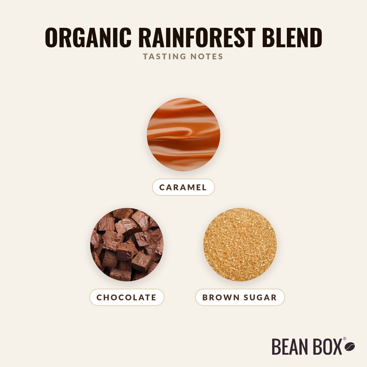 Organic Rainforest Blend - Roasted by Klatch Coffee - Whole Bean Coffee - 310g Bag